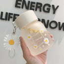 GobekUsa Daisy Flower Glass Water Bottle Portable Tumbler 350ML