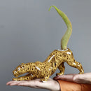 GobekUsa Ceramic Animal Flowerpot: Leopard Cheetah Cartoon Characters for Garden Plants