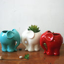 GobekUsa Elephant Succulent Planter Ceramic Vase Cute Flowerpot Decor Pot