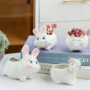 GobekUsa Animal Cartoon Ceramic Flowerpot for Nursery Planting - Cute Rabbit Elephant Sheep Octopus