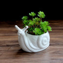 GobekUsa Cartoon Snail Flower Vase Succulent Pot for Garden Decoration