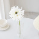 GobekUsa Brushed Gerbera Vase: Home Decor, Wedding, Christmas, Party Wreaths & Scrapbooking