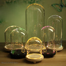 GobekUsa Glass Dome Night Light with Dry Flower Ornaments on Wood Base