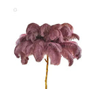 GobekUsa Elegant Ostrich Feather Floor Lamp for Home Decor & Lighting
