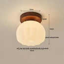 GobekUsa LED Modern Ceiling Light for Living Room Balcony, Nordic Style Indoor Lighting Fixtures