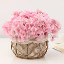 GobekUsa Begonia Flower Dry Flower Embossing Specimen DIY Decoration Petal Candles