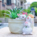 GobekUsa Bunny Succulent Planter Pot for Garden and Patio Decor