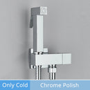GobekUsa Brass Bidet Faucet Single Cold Water Toilet Handle Jet Sprayer Mixer