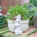 GobekUsa Bunny Succulent Planter Pot for Garden and Patio Decor