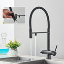 GobekUsa Black Kitchen Faucet with Pull Down Sprayer and 2-in-1 Purification Technology