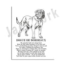 GobekUsa Dog Breeds Poster: Chinese Crested, Chesapeake Retriever, Brussels Griffon, + More