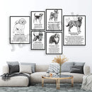 GobekUsa Dog Breeds Poster: Chinese Crested, Chesapeake Retriever, Brussels Griffon, + More