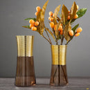 GobekUsa Gold Metal Glass Vase: Round Transparent Terrarium for Home Decor & Flower Arrangement