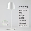 GobekUsa Acrylic Crystal Art LED Table Lamp - Rechargeable Cordless Design