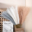 GobekUsa Fluffy Pampas Grass Boho Decor Pampas Grass.