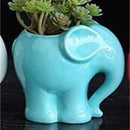 GobekUsa Elephant Succulent Planter Ceramic Vase Cute Flowerpot Decor Pot