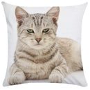 GobekUsa Bubble Black Cats Cat Pillow Cases Sofa Home Decor Custom Cushion Cover