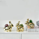 GobekUsa Golden Rabbit Ceramic Flower Pot | Cartoon Succulent Planting Vase