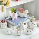 GobekUsa Animal Cartoon Ceramic Flowerpot for Nursery Planting - Cute Rabbit Elephant Sheep Octopus