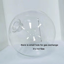 GobekUsa Clear Glass Pendant Lamp Shade with 2.2cm Thread for Chandeliers & Hanging Lights