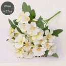 GobekUsa Begonia Flower Dry Flower Embossing Specimen DIY Decoration Petal Candles