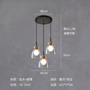 GobekUsa Clear Glass Pendant Lamp with LED Lights for Home Decor