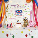 GobekUsa Birthday Wall Tapestry Decoration Party Bedroom Hanging Cloth