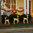 GobekUsa Christmas Reindeer Elk LED Light Outdoor Decor Sculpture