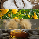 Salt and Sea Amber Reed Diffuser by Sweet Water Decor