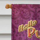 Hello Pumpkin Halloween House Flag 28x40 Porch Sleeve Pole Decorative Outside Yard Banner Artwork Wall Hanging, Polyester