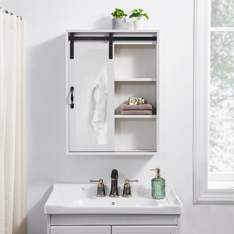 Barn Door Wall Storage with Mirror