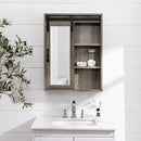 Barn Door Wall Storage with Mirror