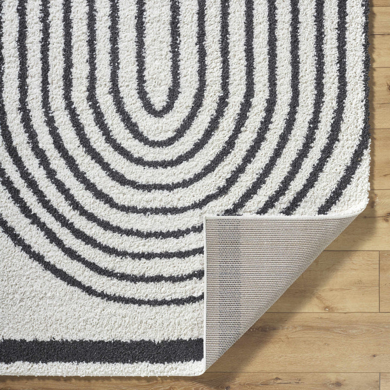 Bauer Plush Black Rainbow Rug - Clearance