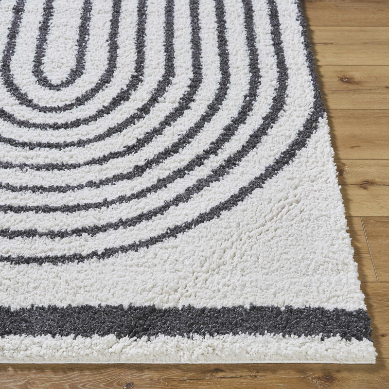 Bauer Plush Black Rainbow Rug - Clearance
