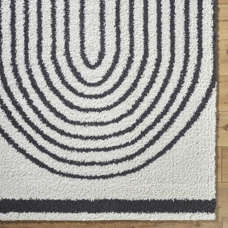 Bauer Plush Black Rainbow Rug - Clearance