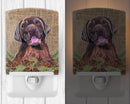 Labrador Faux Burlap and Pine cones Ceramic Night Light Compact, UL-Certified, Ideal for Bedroom, Bathroom, Nursery, Hallway, Kitchen, 6x4x3, Multicolor