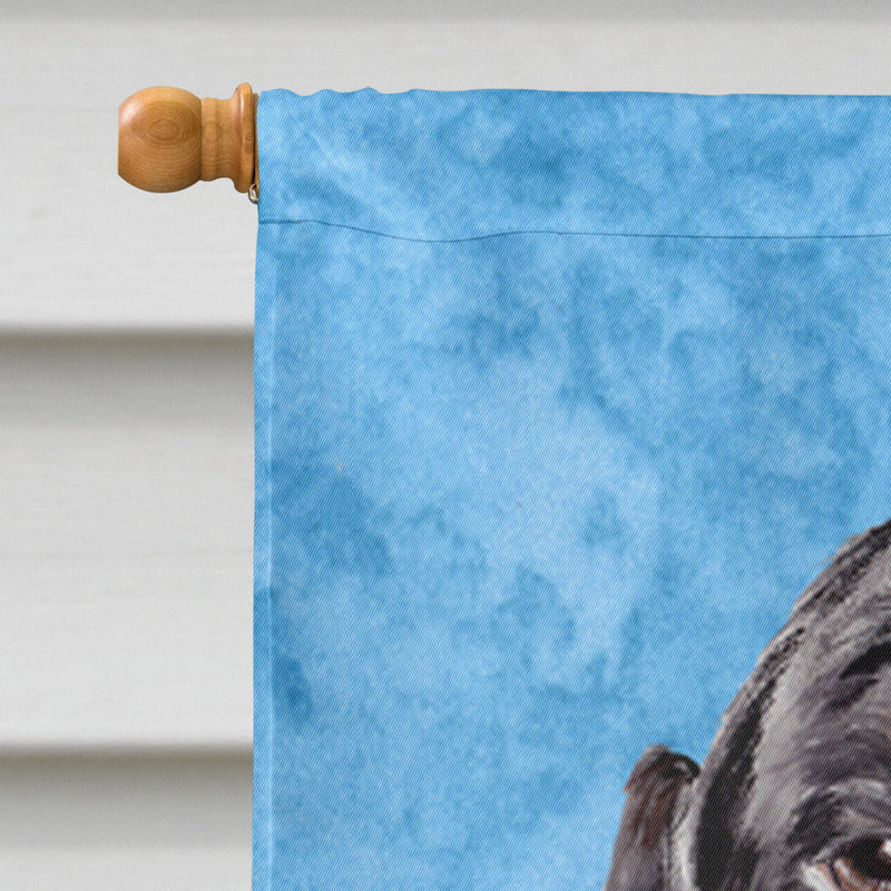 Dachshund Flag Canvas House Size