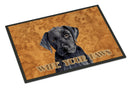 Labrador Wipe your Paws Doormat Indoor Outdoor 18H X 27W Front Door Mat Rugs for Entryway, Non Slip Washable