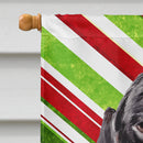 Dachshund Candy Cane Holiday Christmas House Flag 28x40 Porch Sleeve Pole Decorative Outside Yard Banner Artwork Wall Hanging, Polyester