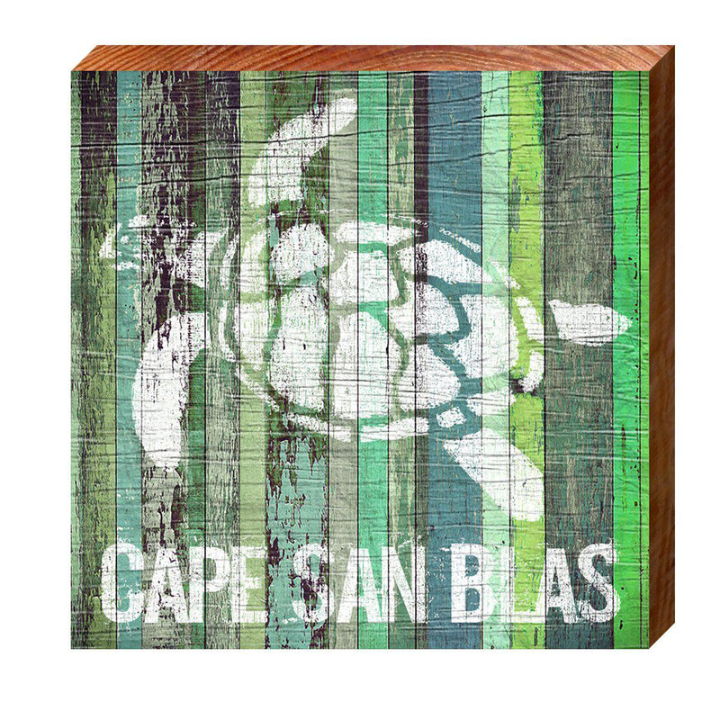 Cape San Blas Sea Turtle | Wall Art Print on Real Wood Sign