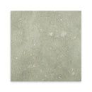 Seagrass Limestone 18" x 18" Polished Tile
