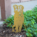 Limited Edition *Gold* Australian Shepherd