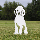 Poodle