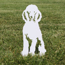 Poodle
