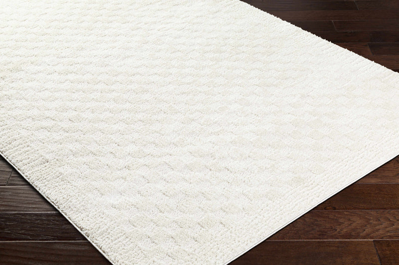 Leryn Ivory Checkered Area Rug