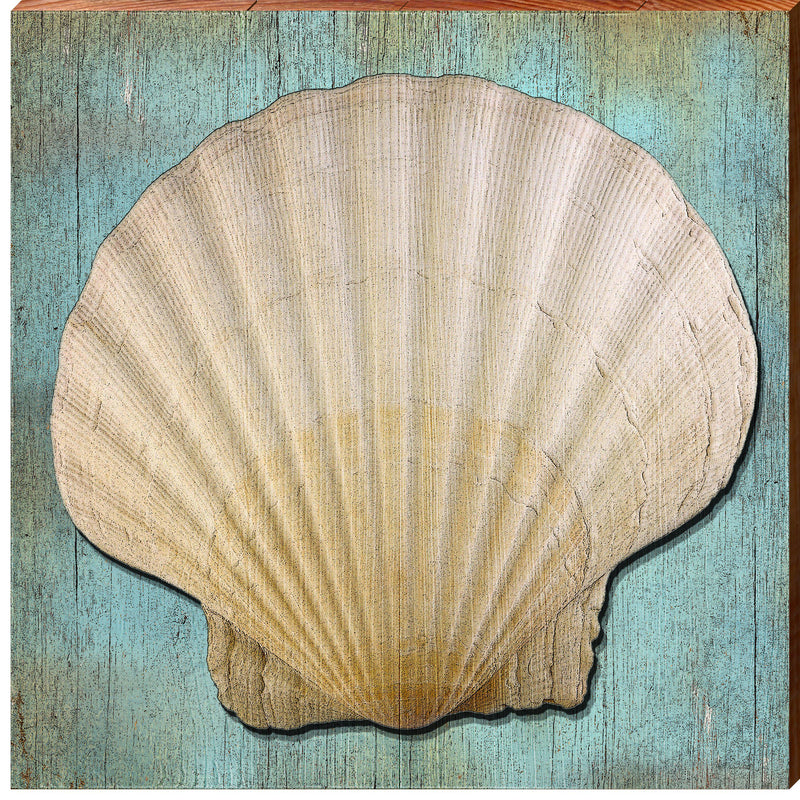 Scallop Shell Blue Wooden Sign | Wall Art Print on Real Wood | Seashell Beach House Coastal Decor