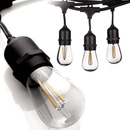 SL101 Replacement Light Bulbs 2W LED S14 E26 12V Low Voltage Edison Style for Bistro String Lights by Kings Outdoor Lighting