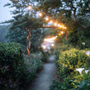 SL101 3000K Warm White LED Low Voltage Bistro String Lights 48 FT Outdoor Weatherproof 12V Edison Bulbs by Kings Outdoor Lighting