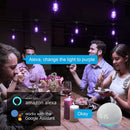 SLR102 LED RGBW Smart Bistro Acrylic String Lights Color Changing Outdoor Weatherproof 12V Edison Bulbs by Kings Outdoor Lighting