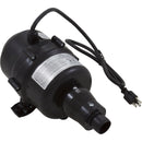 Air Blower, CG Air Silver, Variable, 120v, 600W Heater (SLS-6-75-120/60A-N)